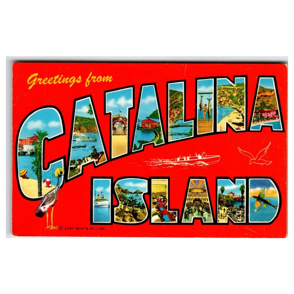 Greetings from Catalina Island CA Multi-View Chrome Postcard Curt Teich